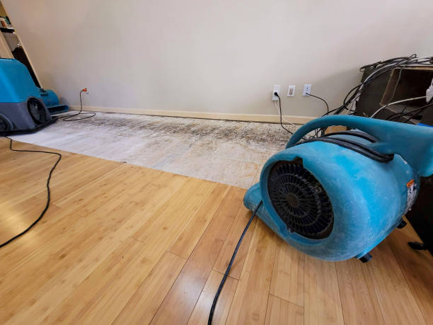 Professional Water Damage Repair technician working in Sidney, IL
